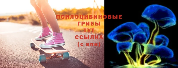 дмт Белокуриха