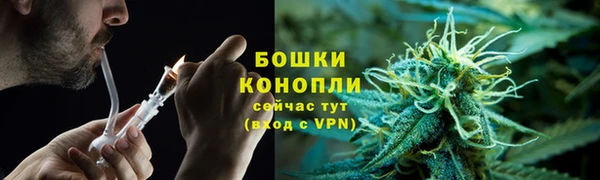 дмт Белокуриха