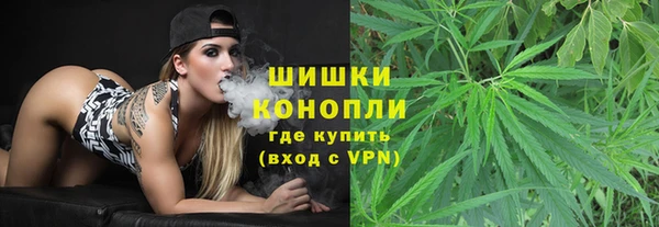 дмт Белокуриха