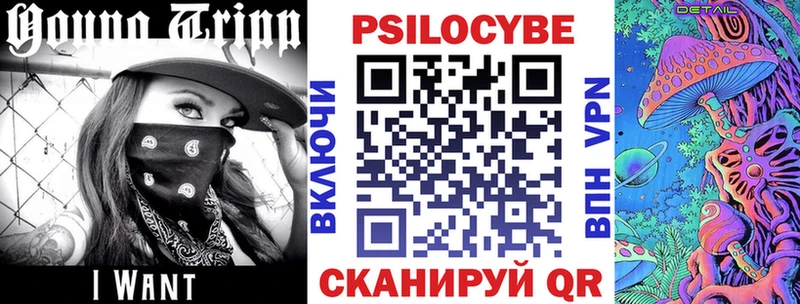 наркота  Стародуб  Псилоцибиновые грибы Cubensis 